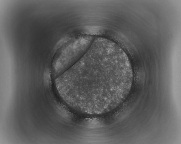 X0000111830688200909031514
