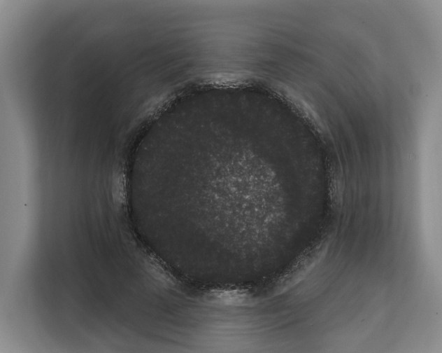 X0000111830689200909031514