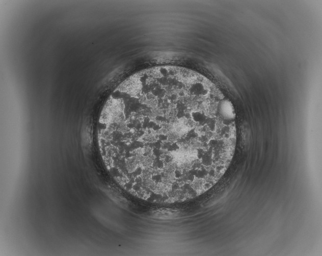X0000111830691200909031514