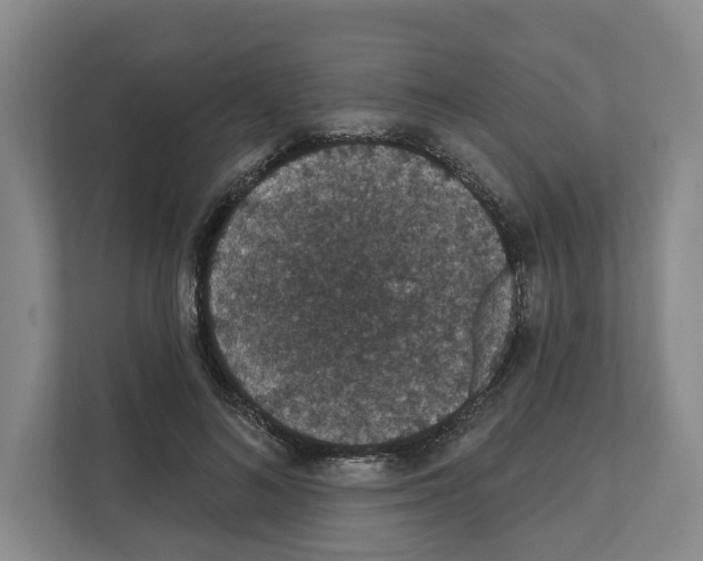 X0000111830692200909031514