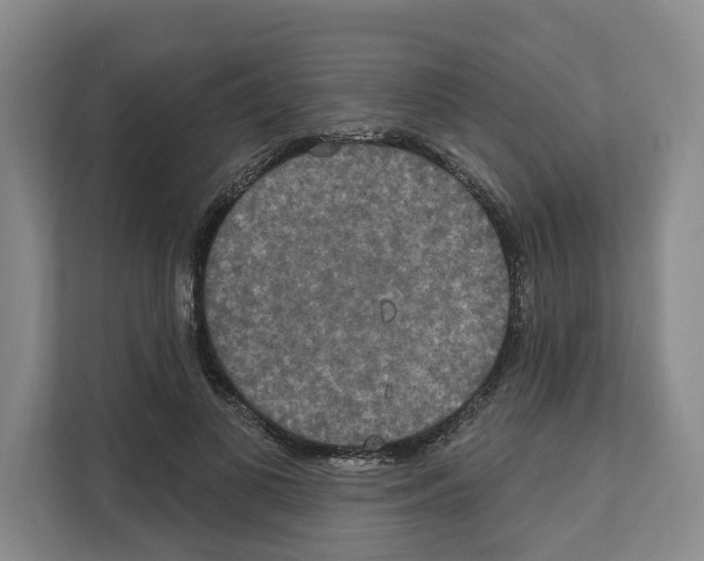 X0000111830693200909031514
