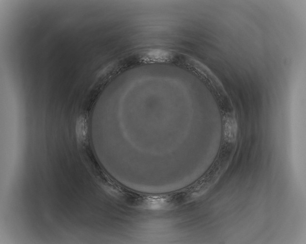 X0000111830701200909031513