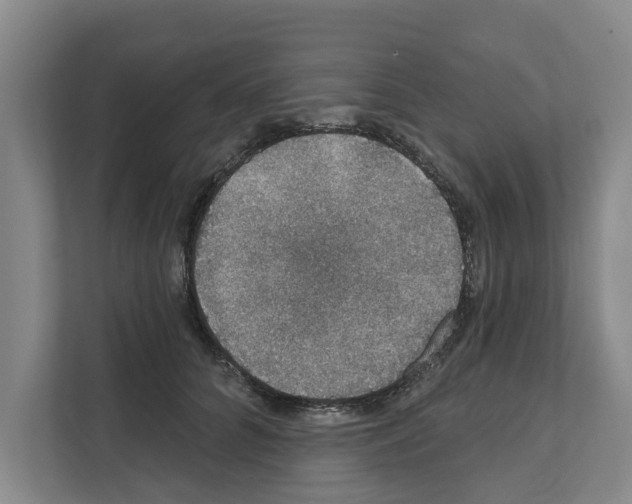 X0000111830704200909031513