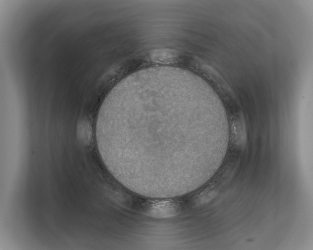 X0000111830705200909031513