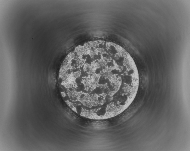 X0000111830707200909031513