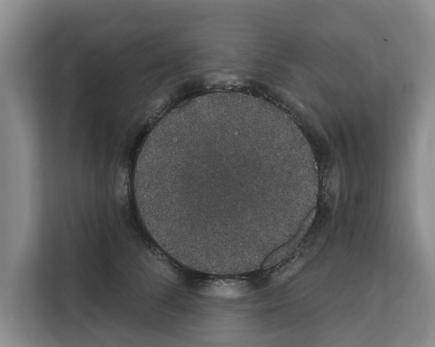 X0000111830708200909031513