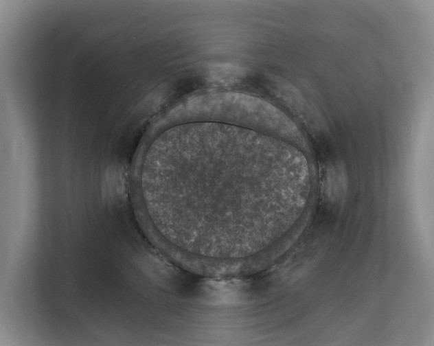 X0000111830712200909031513