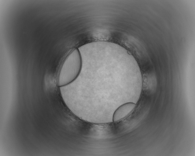 X0000111830713200909031513