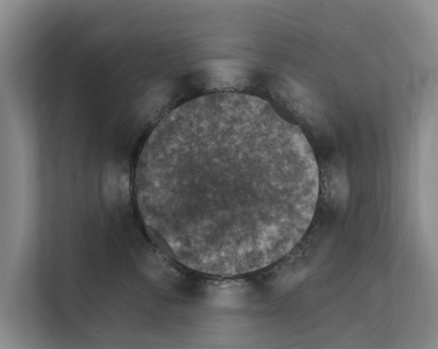 X0000111830716200909031513