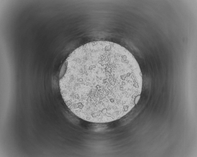 X0000111830719200909031513