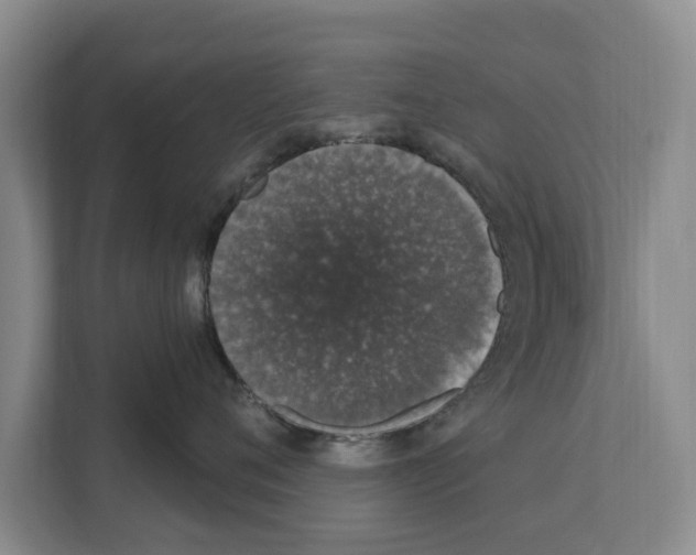 X0000111830720200909031513
