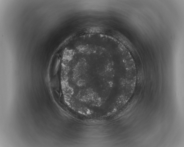 X0000111830722200909031513