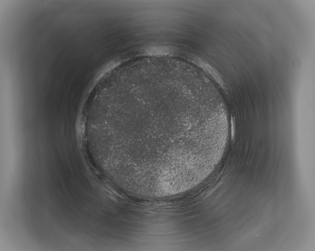 X0000111830723200909031513