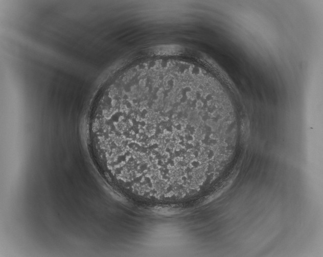 X0000111830725200909031513