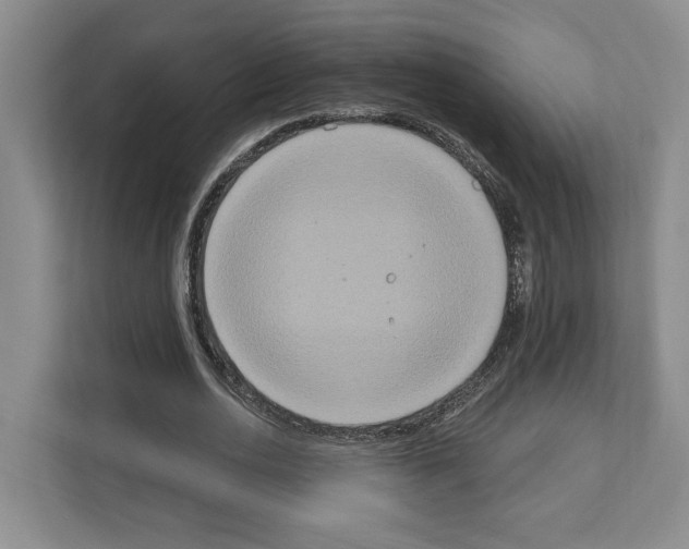 X0000111830726200909031513