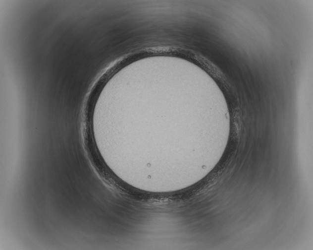 X0000111830728200909031513