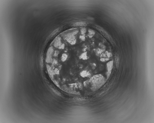 X0000111830729200909031513