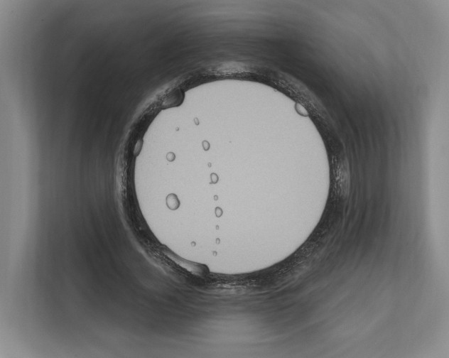 X0000111830732200909031513