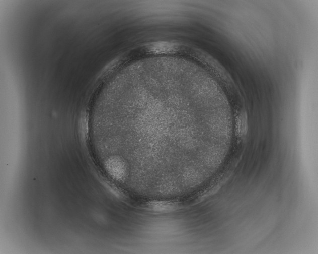 X0000111830733200909031513
