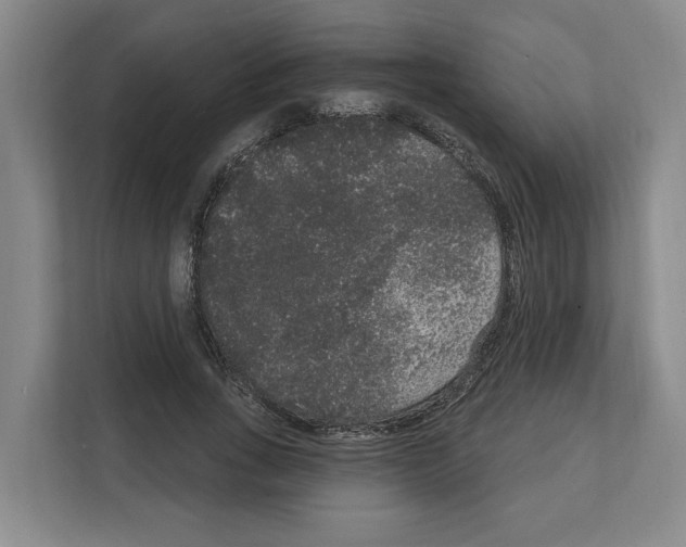 X0000111830735200909031513