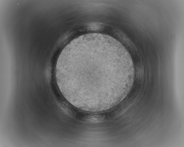 X0000111830736200909031513