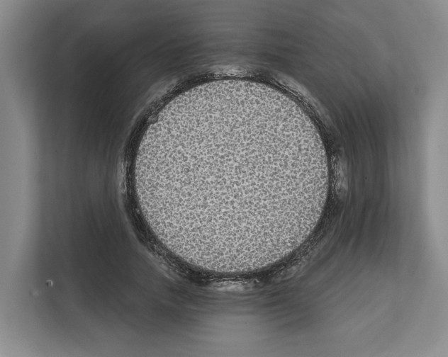 X0000111830738200909031513