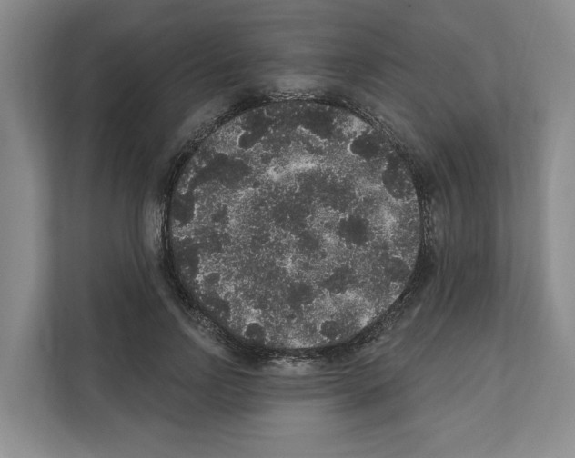 X0000111830742200909031513