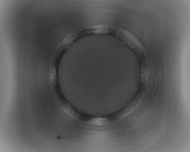 X0000111830748200909031513