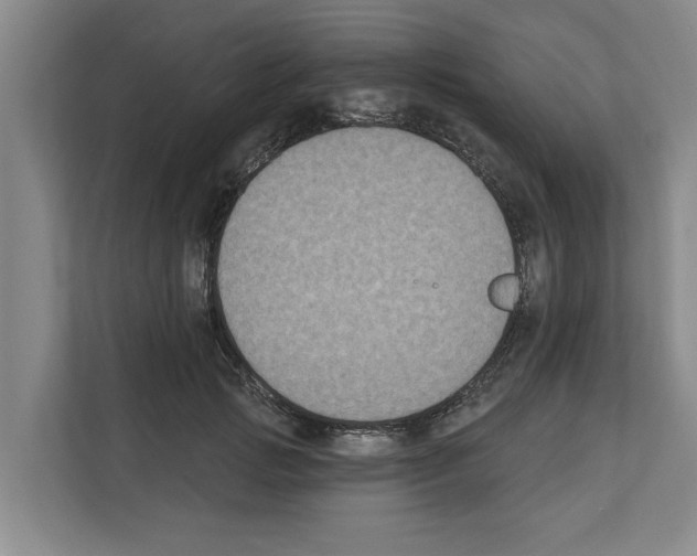 X0000111830749200909031513