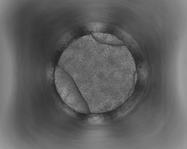 X0000111830750200909031513
