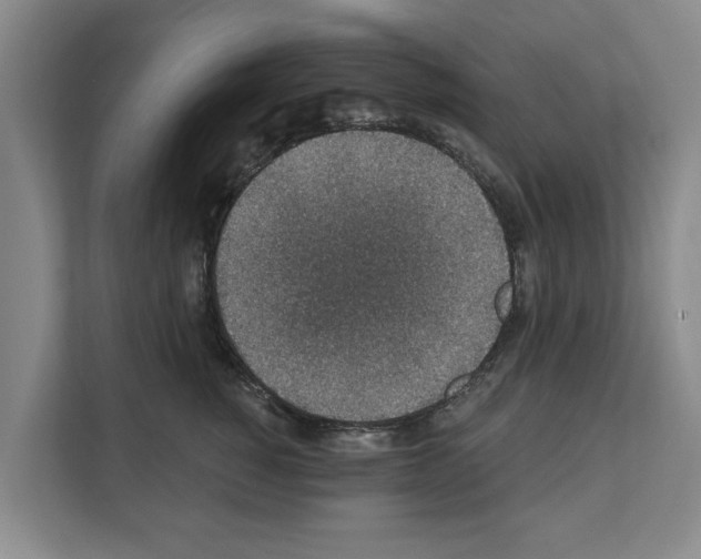 X0000111830760200909031513
