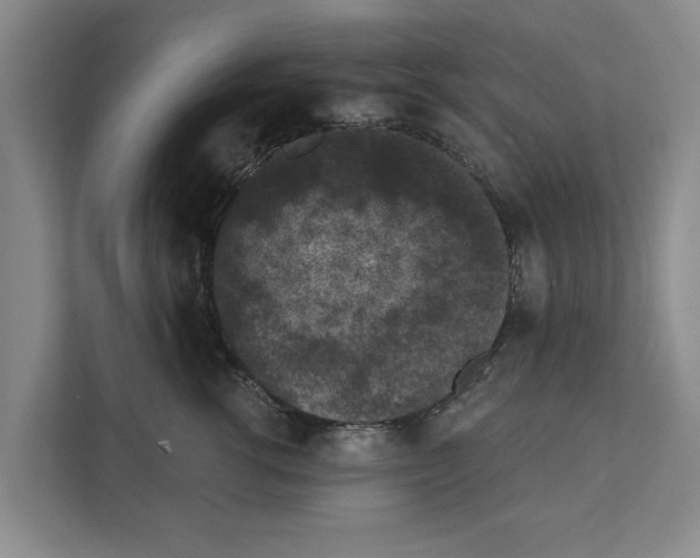 X0000111830762200909031513