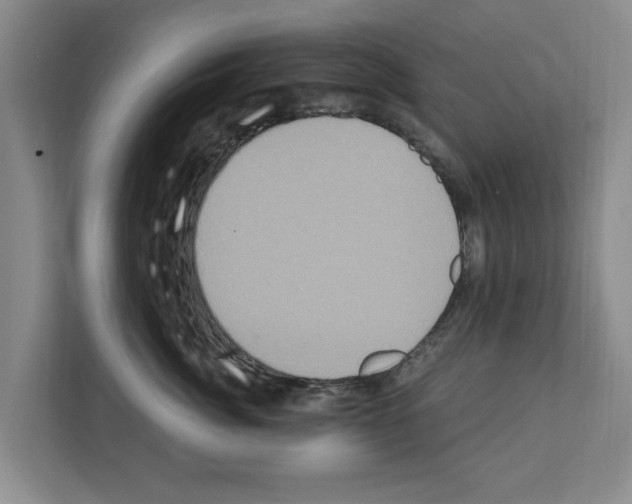 X0000111830764200909031513