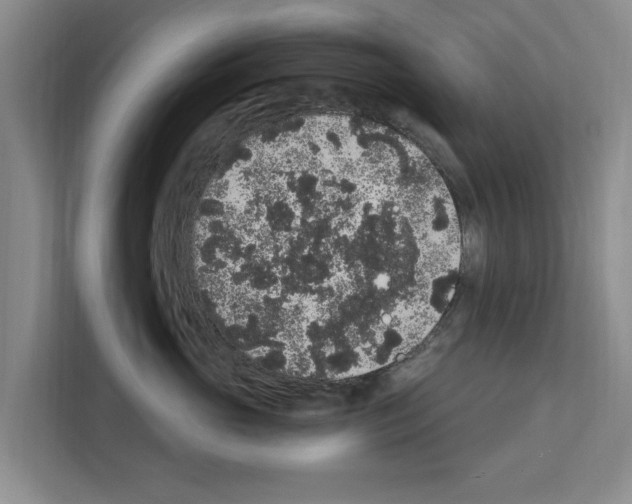 X0000111830765200909031513