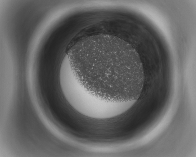 X0000111830766200909031513
