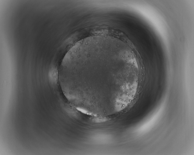 X0000111830767200909031513
