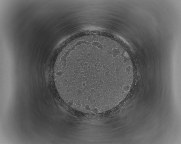 X0000111830775200909031513