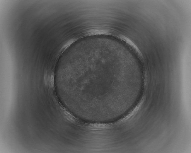 X0000111830777200909031512