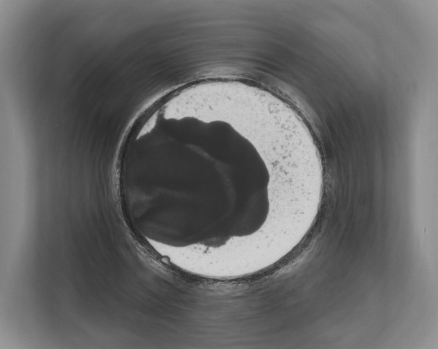 X0000111830779200909031512
