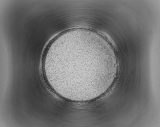 X0000111830780200909031512