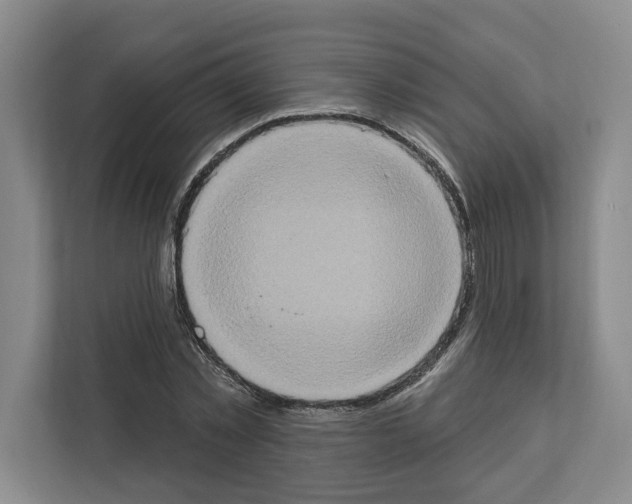 X0000111830781200909031512