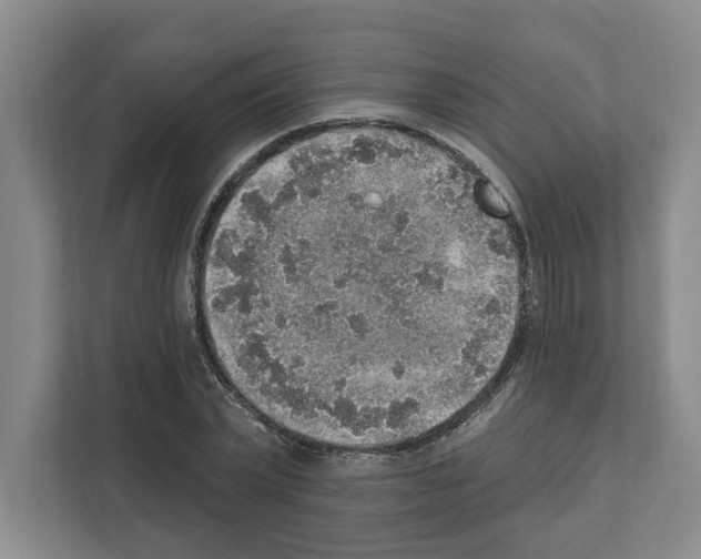 X0000111830783200909031512