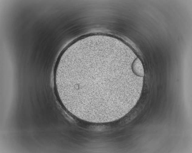 X0000111830791200909031512