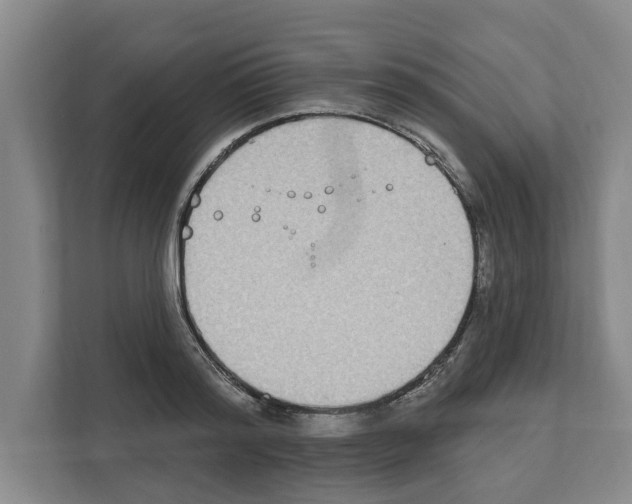 X0000111830796200909031512