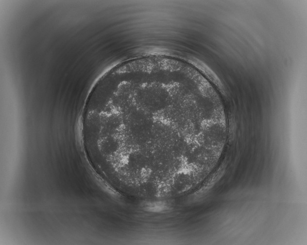 X0000111830798200909031512