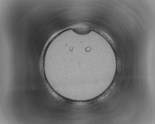 X0000111830800200909031512