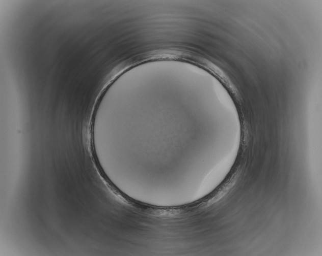 X0000111830802200909031512