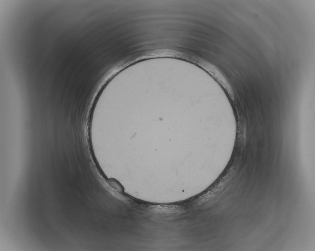 X0000111830805200909031512