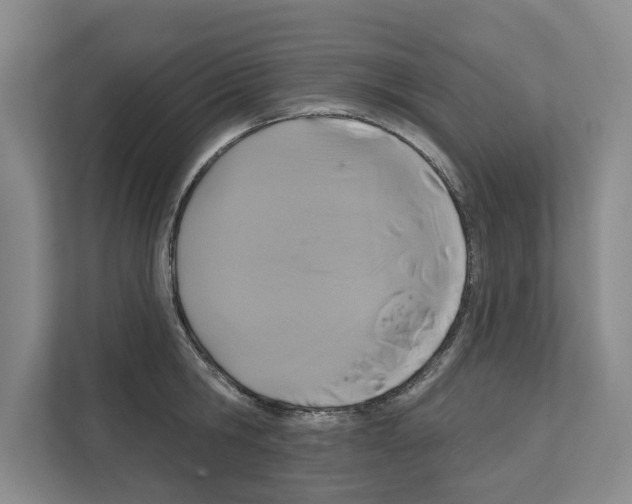 X0000111830806200909031512