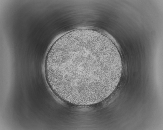 X0000111830811200909031512
